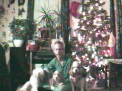 Me and the 3 red and white spaniels