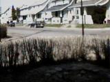 the shortened front hedges