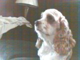 Gabby