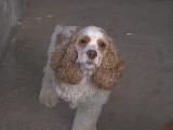 Gabby