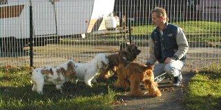 The Pack and Me!