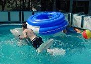 Ryan tries to ride a Dolphin Lungren