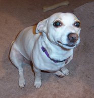 Sunni Smiling!