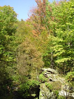 Nelson Ledges, October 03