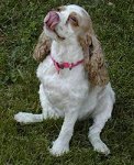 Gabby