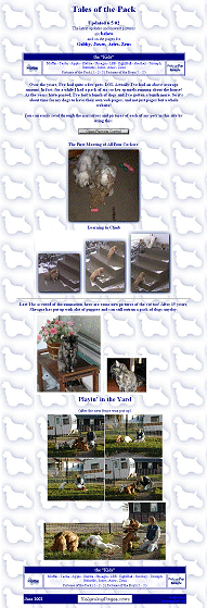 Visit the kidz' website