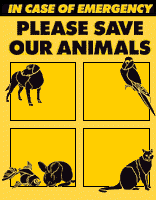 Please save our animals