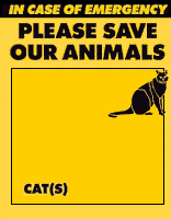 Please save our animals - cats