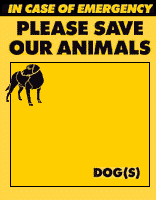 Please save our animals - dogs